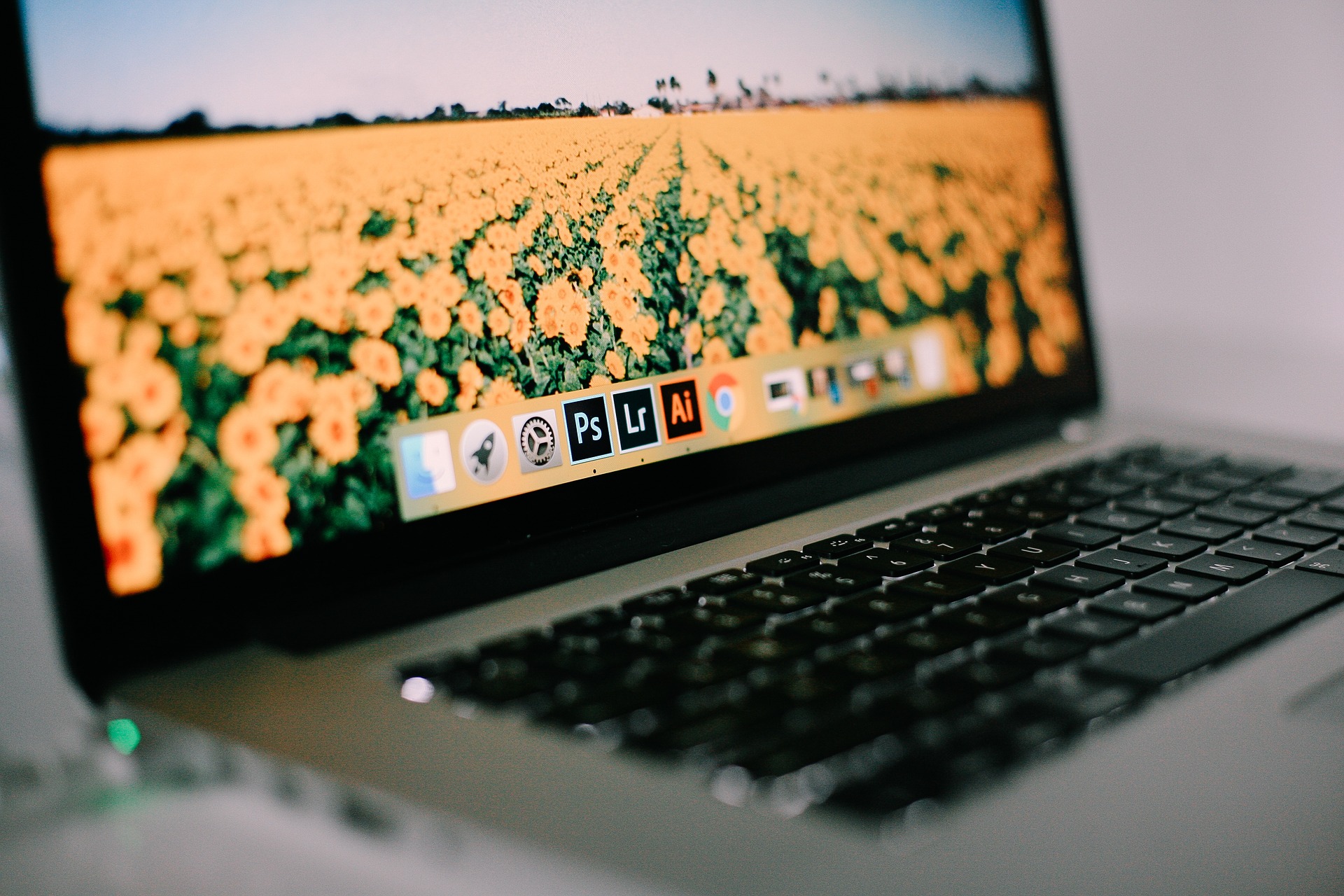 adobe lightroom